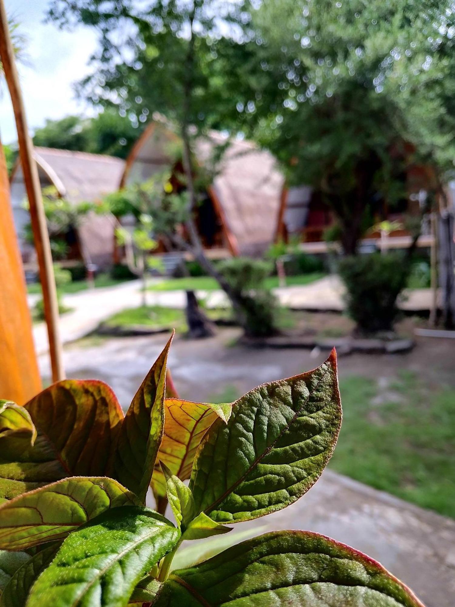 גילי מנו We'Be Cottages מראה חיצוני תמונה